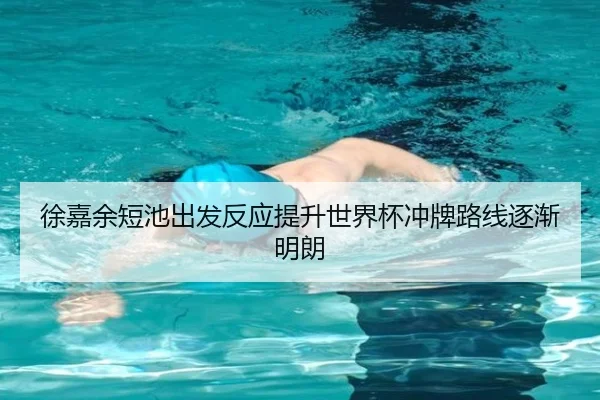 徐嘉余短池出发反应提升世界杯冲牌路线逐渐明朗